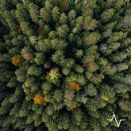 Placat Eco Nel Bosco *