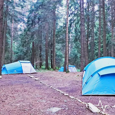 Placat Eco Nel Bosco Campingplads Bossico