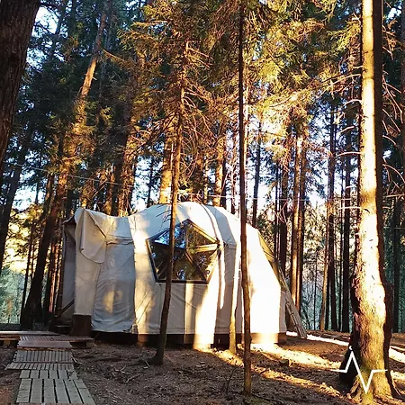 Placat Eco Nel Bosco * ボッシコ