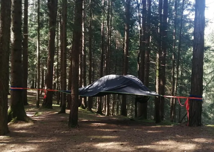 Placat Eco Nel Bosco キャンプ場 *