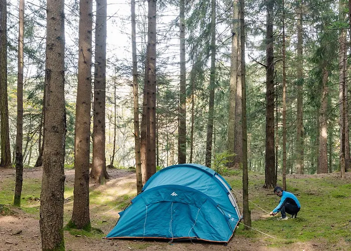 キャンプ場 Placat Eco Nel Bosco *