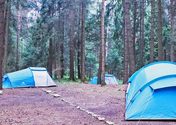Placat Eco Nel Bosco キャンプ場 ボッシコ