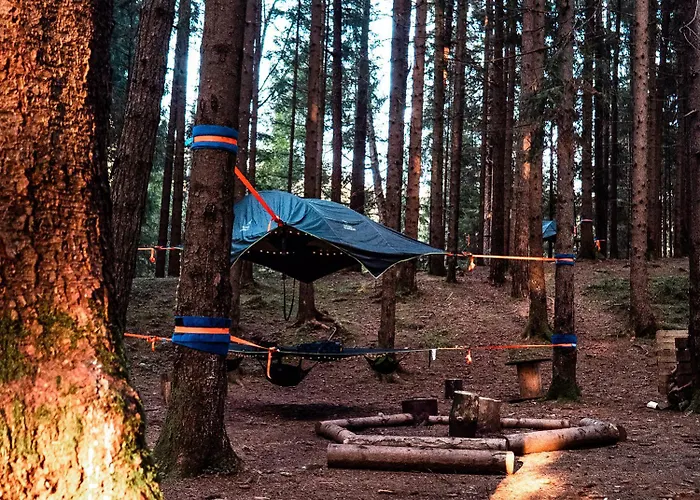 キャンプ場 Placat Eco Nel Bosco