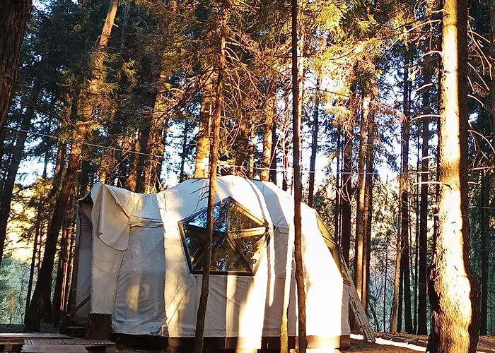 Placat Eco Nel Bosco * ボッシコ